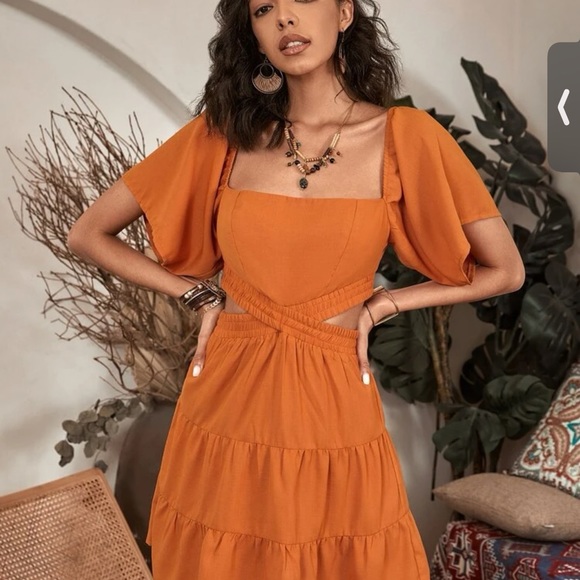 clothes - Picture 10 of 16